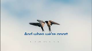 Those Eyes  New West  Lirik  Terjemahan