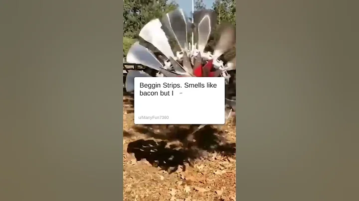 What is the most overrated food you're convinced people are just pretending to enjoy? #AskReddit