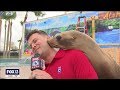 State Fair sea lion kisses are the best kisses