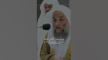 فضيلة الشيخ د. فيصل غزاوي || بأن ربك أوحى لها || سورة الزلزلة