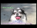 MUSICSPOT19670905いしだあゆみ