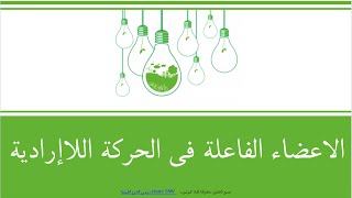 درس علوم الطبيعة و الحياة الاعضاء الفاعلة في الفعل اللاارادي
