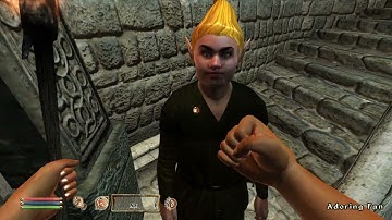 Day 363 - Killing Adoring Fan Every Day Until Elder Scrolls Skyblivion is Released