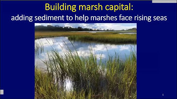 Building Marsh Capital: Adding Sediment to Help Marshes Face Rising Seas