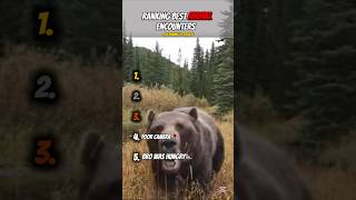 Ranking Best Animal Encounters —The End Is Crazy