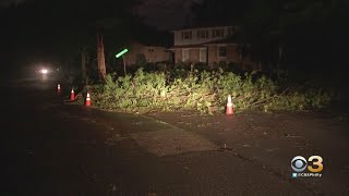 Large Tree Falls In Cherry Hill Following Powerful Storms