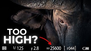 PRO TIPS For HIGH ISO Photography In LOW LIGHT