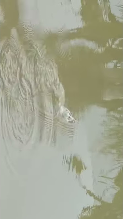 Viral❗19 detik langsung strike #shorts