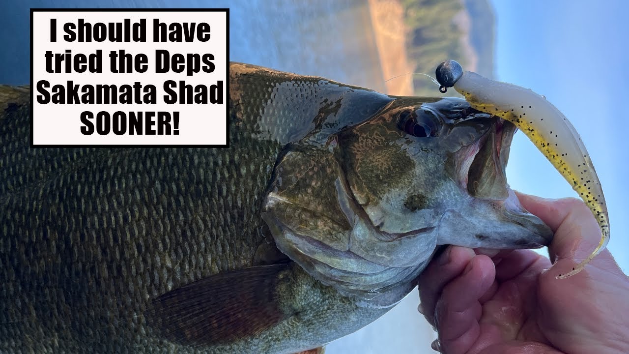 I should HAVE tried this bait SOONER! Deps Sakamata Shad 