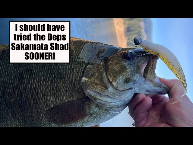 I should HAVE tried this bait SOONER! Deps Sakamata Shad 