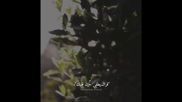 القارئ :عبد الرحمن مسعد │ {فإذا قرأت القرآن فاستعذ بالله من الشيطان الرجيم }│ سورة _النحل _🤎☁