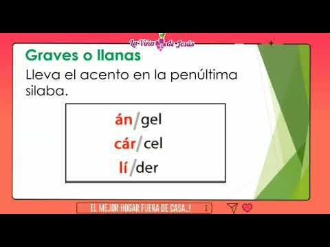 Acento Ortográfico, Prosódico y Diacrítico 5to - YouTube