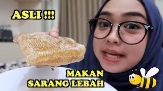 MAKAN SARANG LEBAH ASLI. PART 1