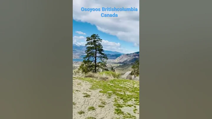 #lake #youtubeshorts  #shorts  #mountains   #britishcolumbia    #nature #beautiful #canada