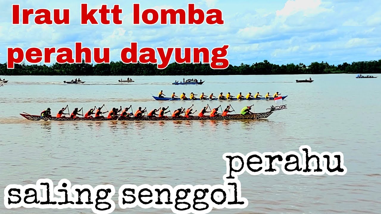 Irau tana tidung yang ke 15th lomba perahu dayung kemudi oleng hingga tabrak perahu lawan