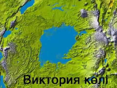 Бейне: Африка күлгінін кесу – африкалық күлгін өсімдікті кесіп тастау керек пе?