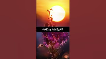 قال أسلمت لرب العالمين. سورة البقرة. القارئ: أويس عبد الفتاح.تلاوة هادئة خاشعة بصوت جميل. #قرآن_كريم