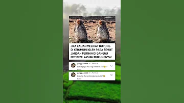 15 Agustus 2025 