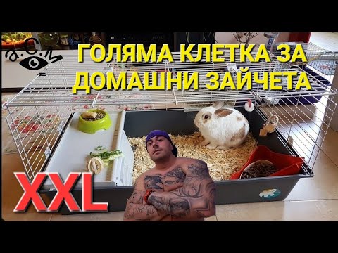 Видео: 4 начина да се доближите до таралеж