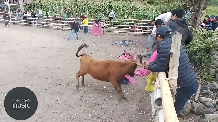 TOROS de PUEBLO_LA MOYA _GUASUNTOS (2022-05-28)