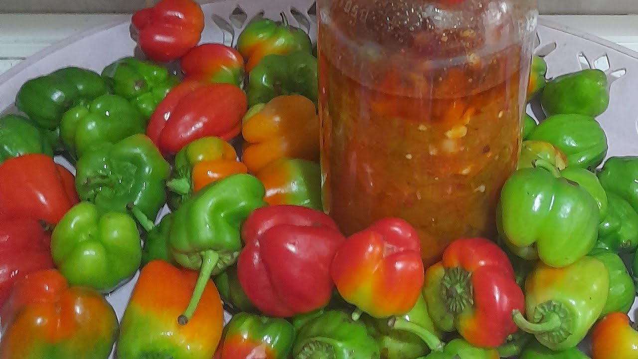 💯🤌🌶️ Zeytinyağlı OrjinalTarifSirkeli Sarımsak Biberli Yağlama TurşuMeze Nasıl Yapılır? #viralvideoes