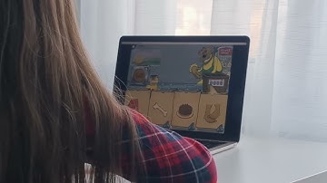 Fast Forward Reading Level 1, Bear Bags Demo