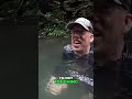 Jungle Waterfall Crab Hunt: Refreshing Swim Adventure! #shorts