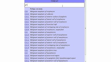 TOMCAT Final Overview Video