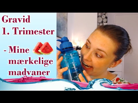 Madvaner I 1 Trimester Gravid Youtube