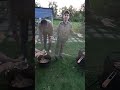 Приготовили плов и его едим.