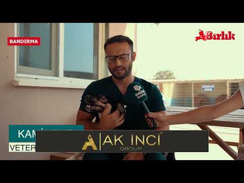 ✅SEVGİNİN İYİLEŞTİRİCİ GÜCÜNE İNANIN