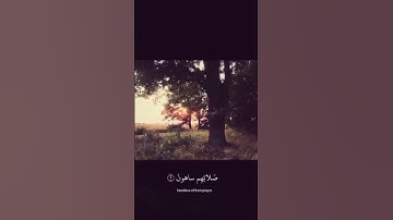 🤲🏻❤️ #عبدالرحمن_مسعد_تلاوة_جديدة #عبدالرحمن_مسعد#قرآن #قران_كريم