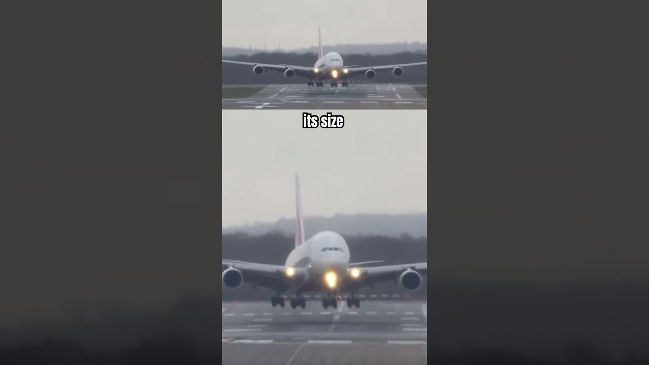 Crazy Airbus A380 Crosswind Landing! #aviation #landing #airport #airbus #takeoff #perfectlanding
