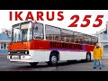 ДРЕВНИЙ БОГ / Ikarus 255/ Иван Зенкевич