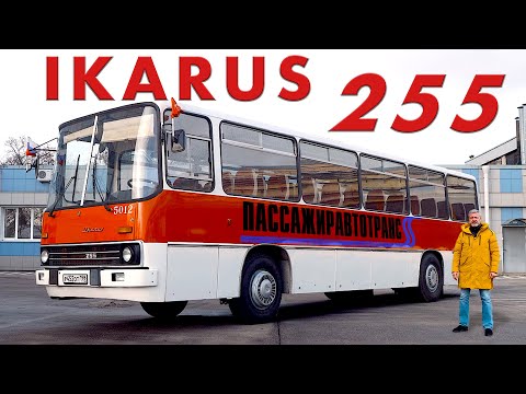 Видео: ДРЕВНИЙ БОГ / Ikarus 255/ Иван Зенкевич