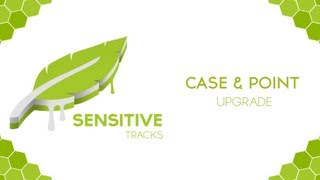 Case & Point - Upgrade