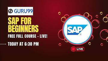 SAP for Beginners – FREE Full Course (LIVE Training)