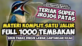 Download Lagu LAWAN KICAU PANAS DINGIN!! MASTERAN SERIBU TEMBAKAN JROJOS MEWAH || MASTERAN BURUNG LOMBA KICAU MP3 Download Lagu LAWAN KICAU PANAS DINGIN!! MASTERAN SERIBU TEMBAKAN JROJOS MEWAH || MASTERAN BURUNG LOMBA KICAU MP3