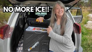 This Little Fridge Solved a Big Car Camping Problem