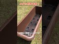 スーパーで激安メダカ容器発見！　メダカ飼育　ビオトープ