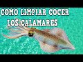 VIDEO #3 COMO LIMPIAR Y EN CUANTO TIEMPO SE COCEN LOS CALAMARES ( HOW CLEAN SQUID AND COOK FAST)