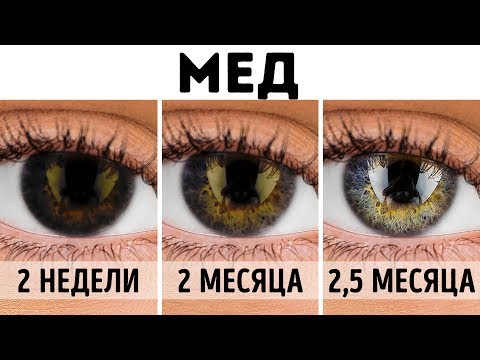 Вопрос: Кто кроме людей может менять пол при жизни?