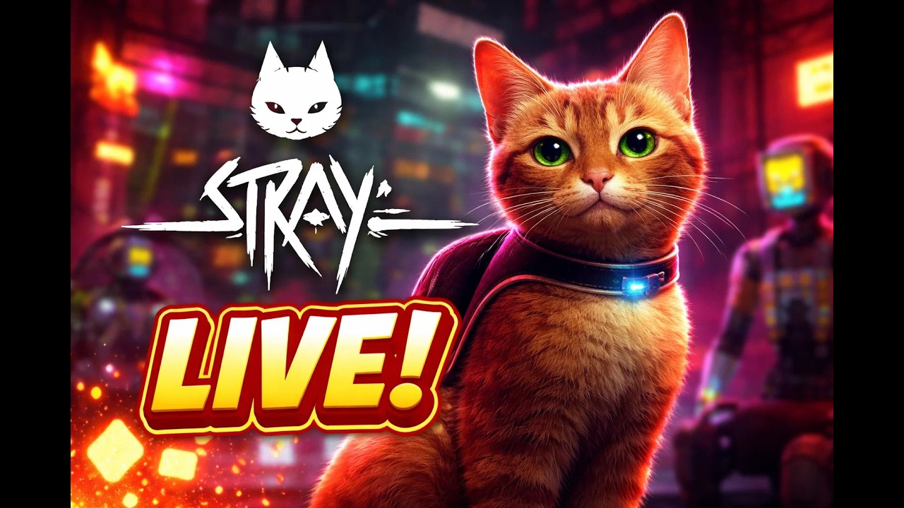 Stray