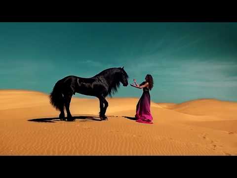 Desert paradise. Beauty black horse girl