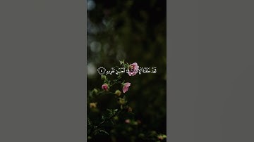 سورة التين مكررة / القارئ أحمد العجمي