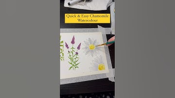 Easy Chamomile Watercolour Painting 🌱 #watercolorpainting #art #painting #chamomile #paint #nature