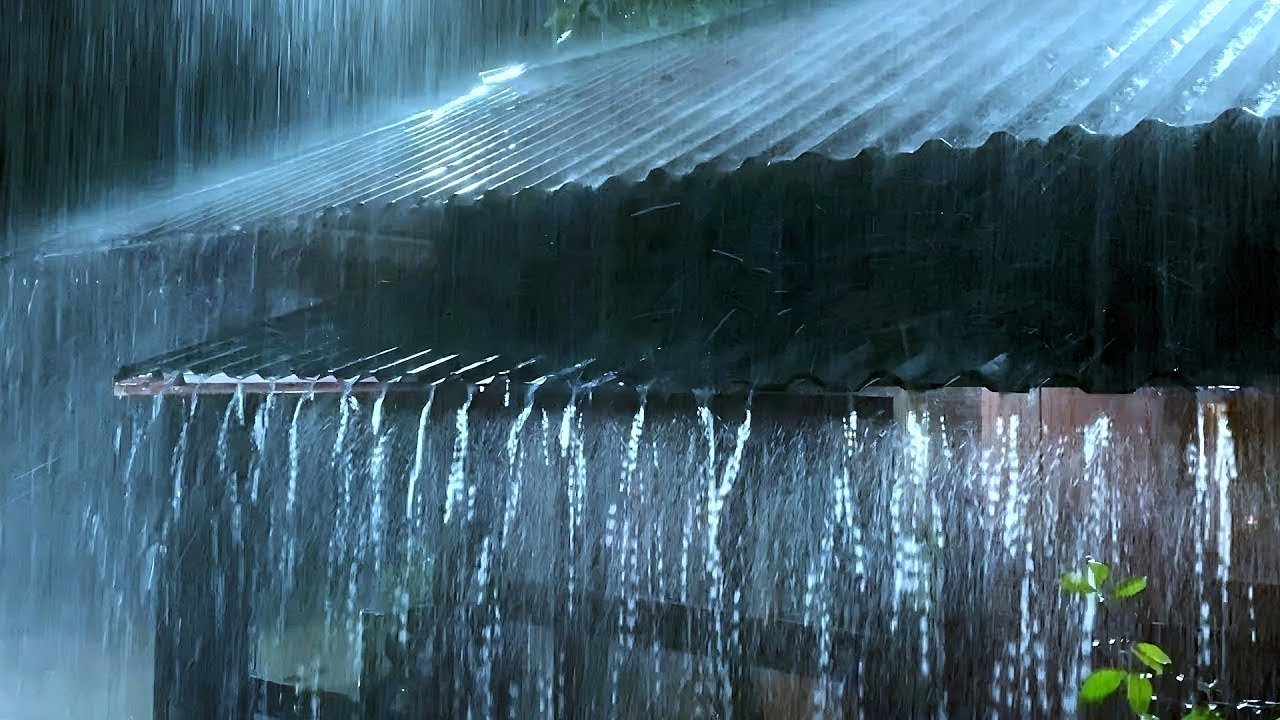 Fall Asleep Instantly with Rain Sounds for Sleeping | Heavy Rainstorm Thunder in Misty Forest Night