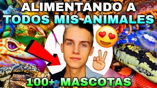 ALIMENTANDO A TODOS MIS ANIMALES (+100 MASCOTAS) *INCREÍBLE* | Tag De Las Mascotas  | Tomas Pasie