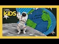 Meteorite Identification and Impact Events