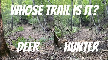 TRAVEL CORRIDOR OR HUNTER ACCESS? How to keep deer off your hunter access trails!